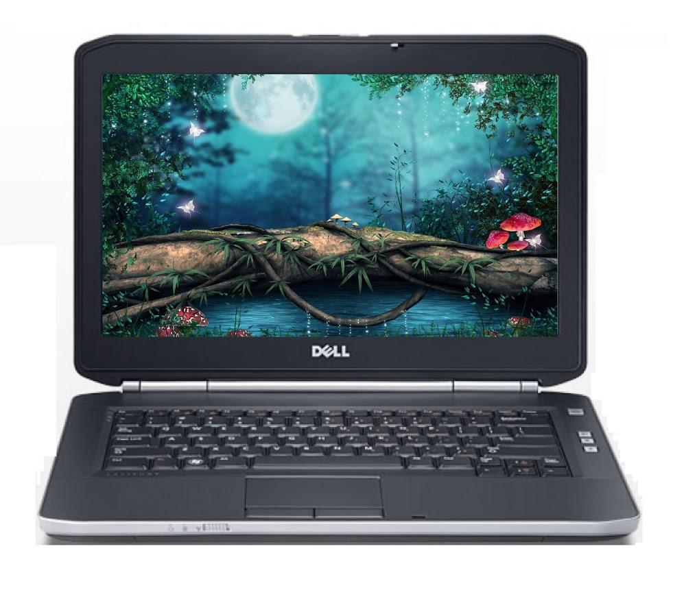 Dell Latitude E5420 14 Dell Latitude E5420 14